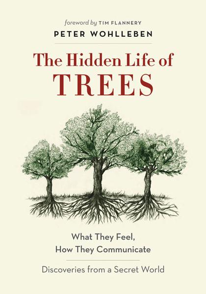 hidden-life-of-trees