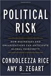 Political_Risk