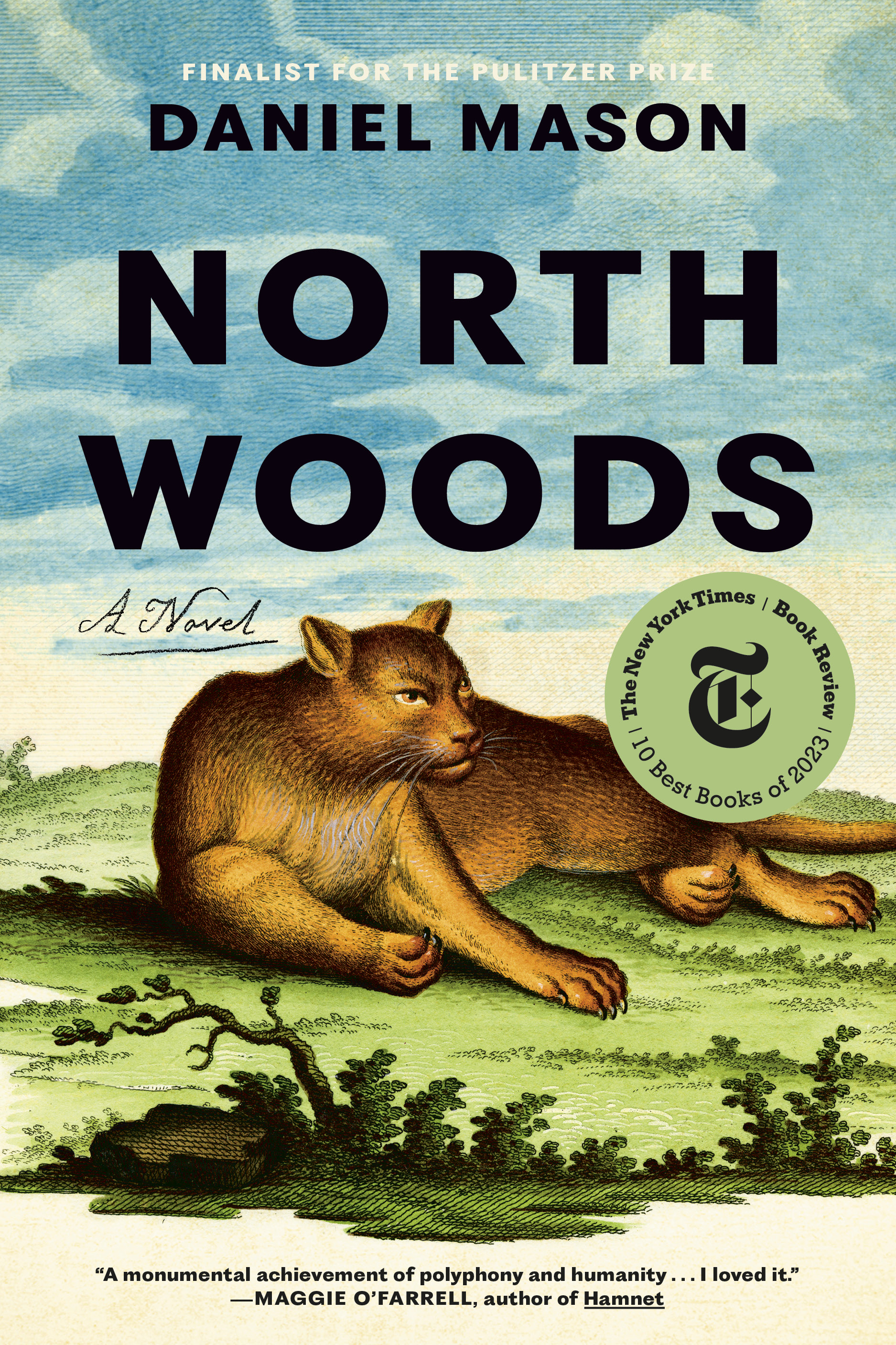 north-woods