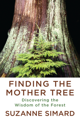 Finding-the-Mother-Tree