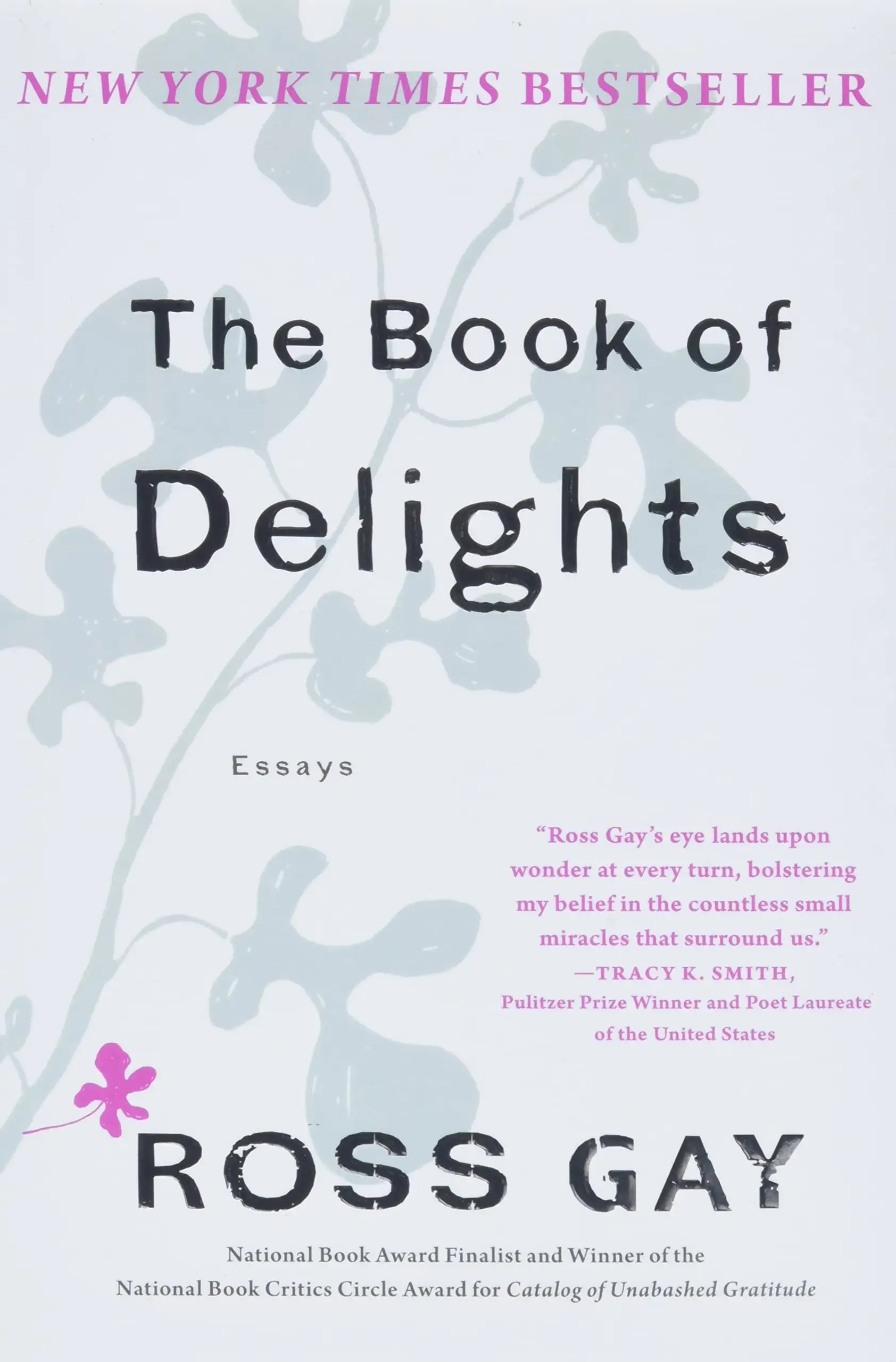 The-Book-of-Delights